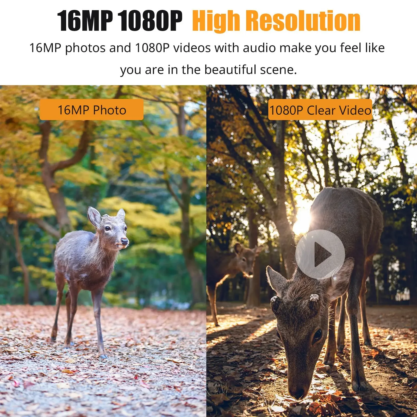 1080P Night Vision Trail Camera - Image 2