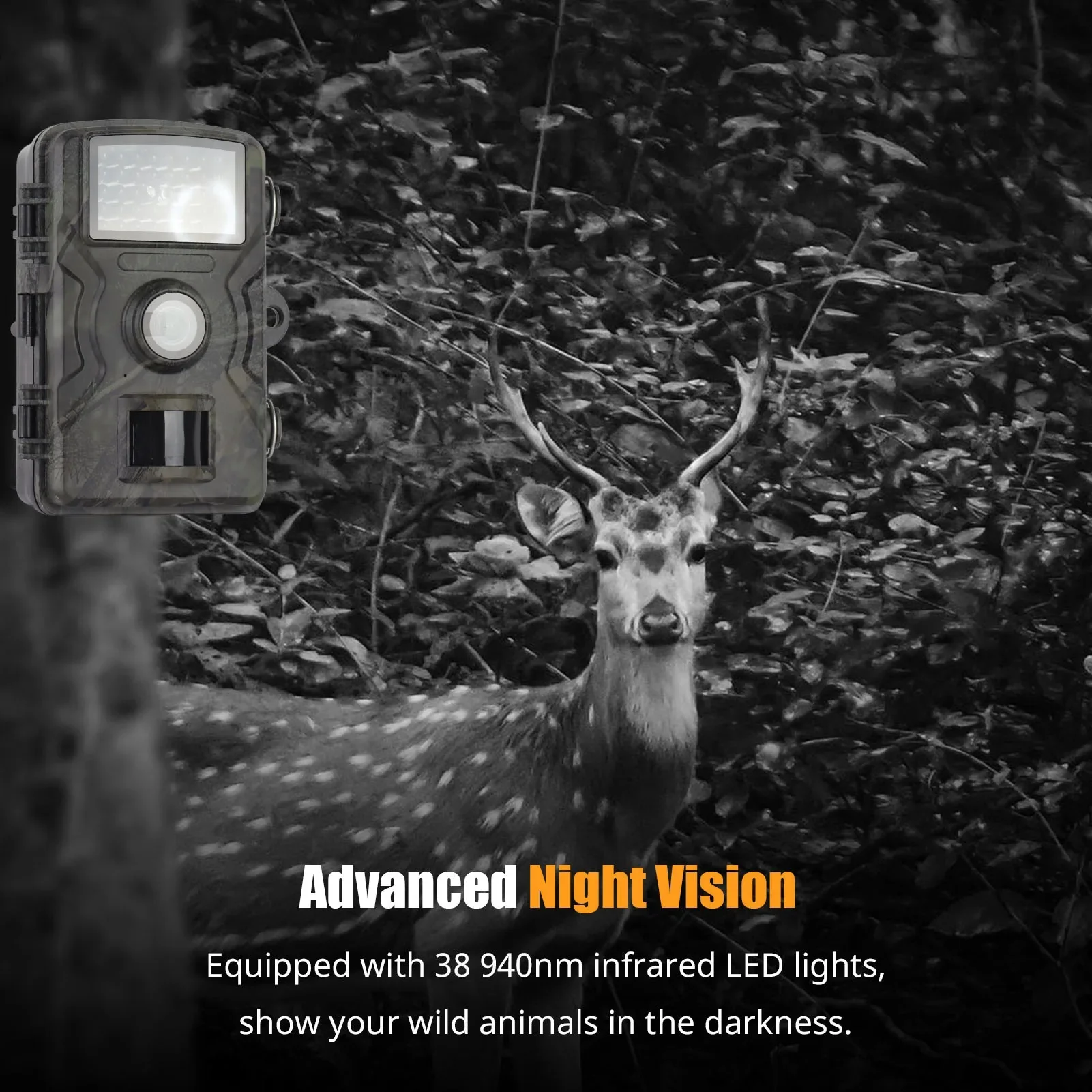 1080P Night Vision Trail Camera - Image 5
