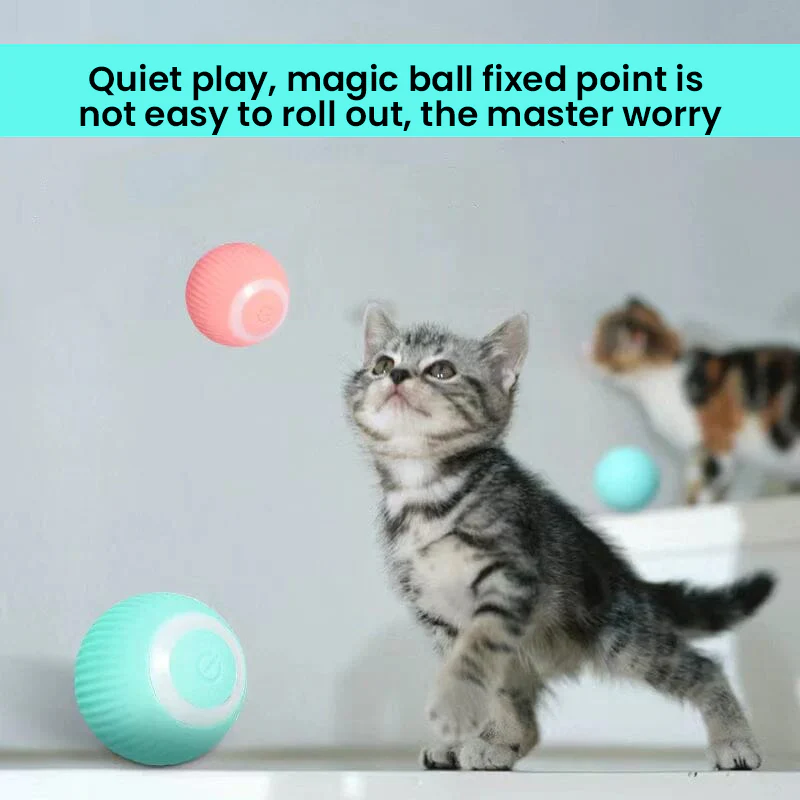 2 in 1 Simulated Interactive Hunting Cat Toy - Image 10