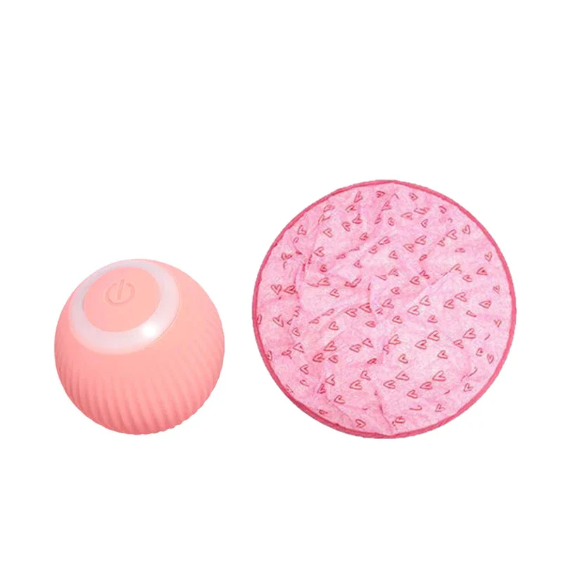 2 in 1 Simulated Interactive Hunting Cat Toy - Image 3