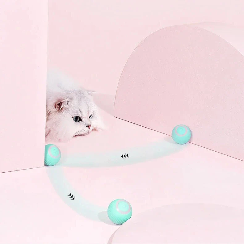 2 in 1 Simulated Interactive Hunting Cat Toy - Image 5