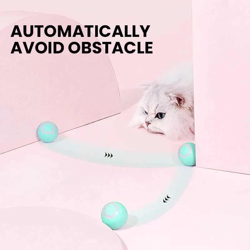 2 in 1 Simulated Interactive Hunting Cat Toy - Image 9