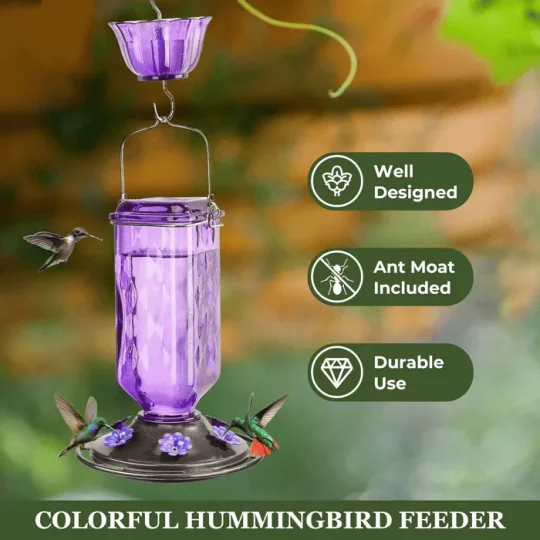 24oz Leak Proof Glass Hummingbird Feeder - Image 9