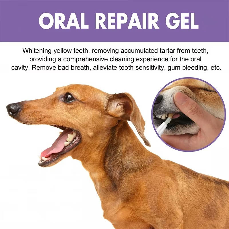 3 Set Dog Oral Repair Gel - Image 3