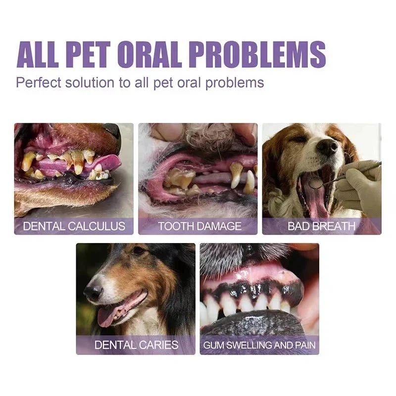 3 Set Dog Oral Repair Gel - Image 6