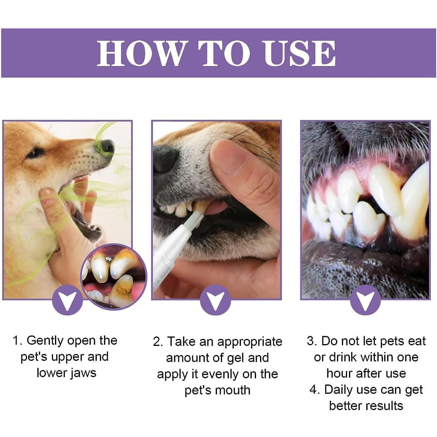 3 Set Dog Oral Repair Gel - Image 7