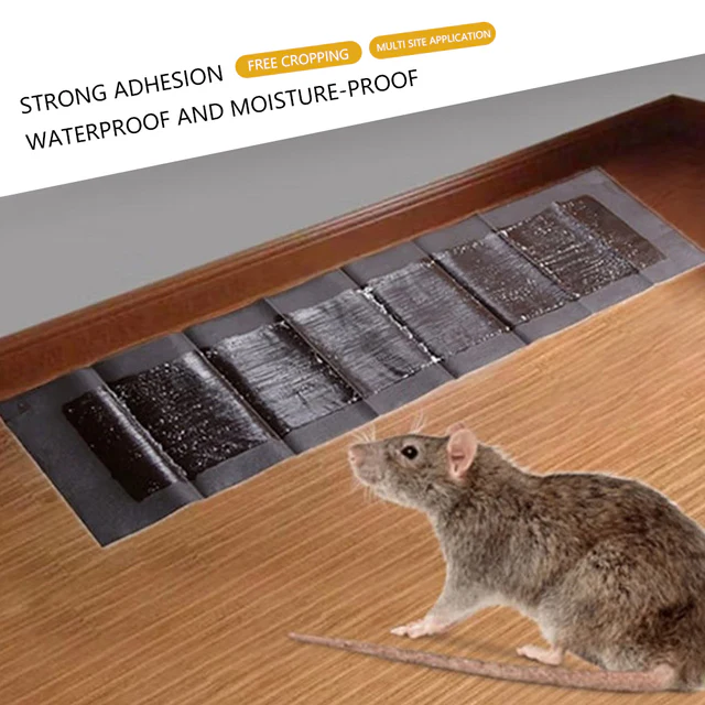 5 Extra-Large Glue Pads For Mice And Rats - Image 4