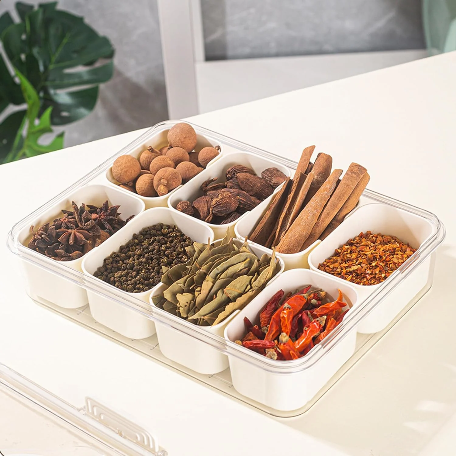 8 Compartments divided serving tray with Handle - Image 6