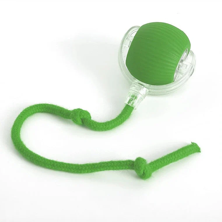 Active Rolling Ball with Tail for Dogs - Image 2