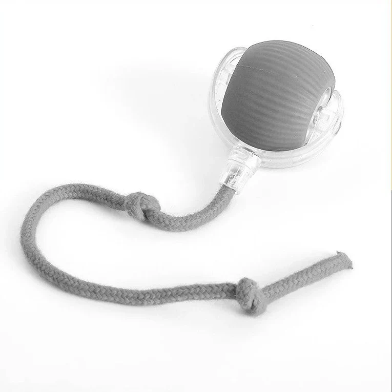 Active Rolling Ball with Tail for Dogs - Image 3