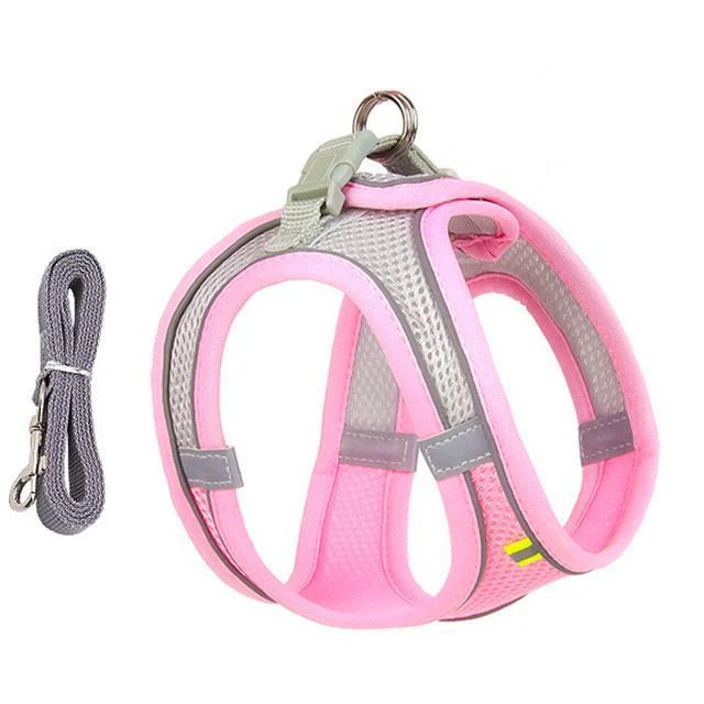 Adjustable Harness and Leash Set for Small Dogs and Cats - Image 3