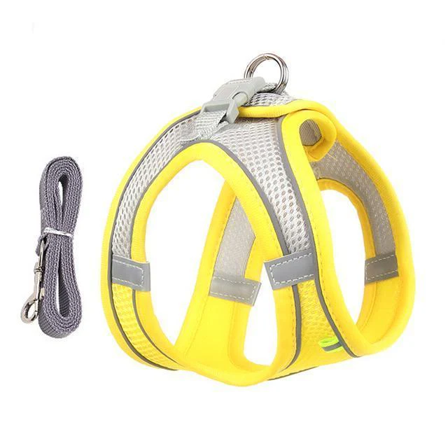 Adjustable Harness and Leash Set for Small Dogs and Cats - Image 4