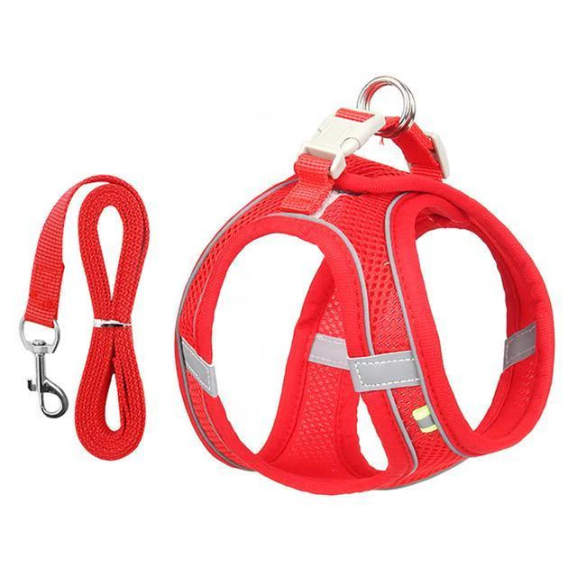 Adjustable Harness and Leash Set for Small Dogs and Cats - Image 5
