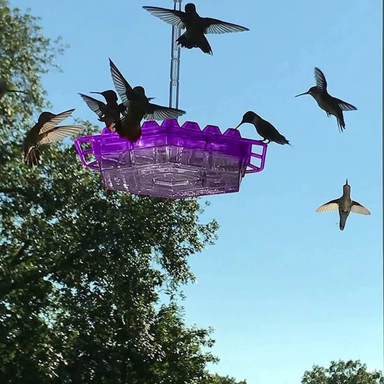 Ant Proof Hummingbird Feeder Outdoor Hanging Perch - Image 3