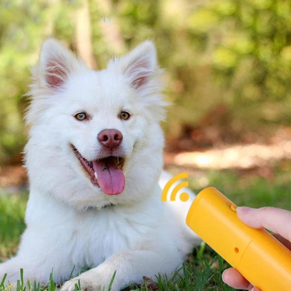 Anti-Bark Box For Dogs - Image 2