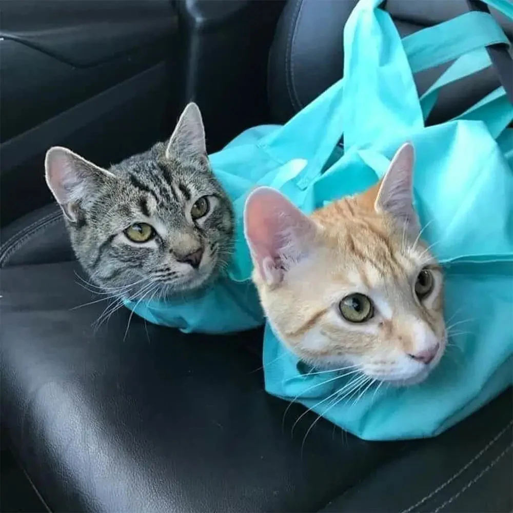 Anti Scratching Travel Cat Carrier Pouch - Image 2