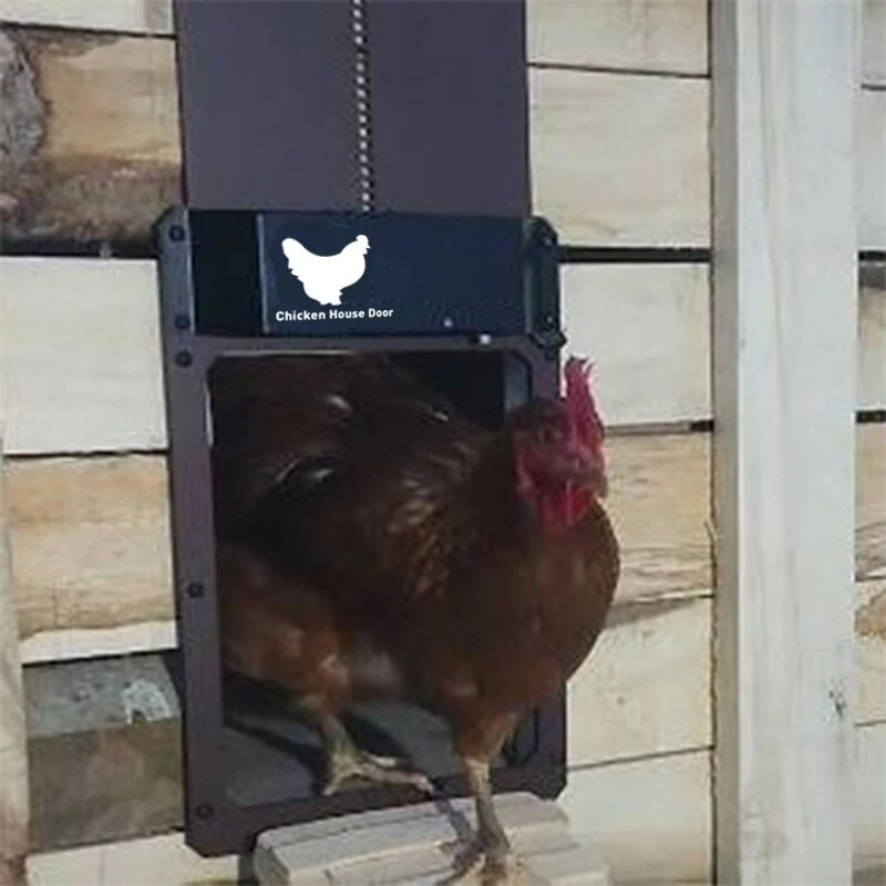 Automatic Chicken Coop Door Opener - Chicken Coop With Light Sensor - Image 2