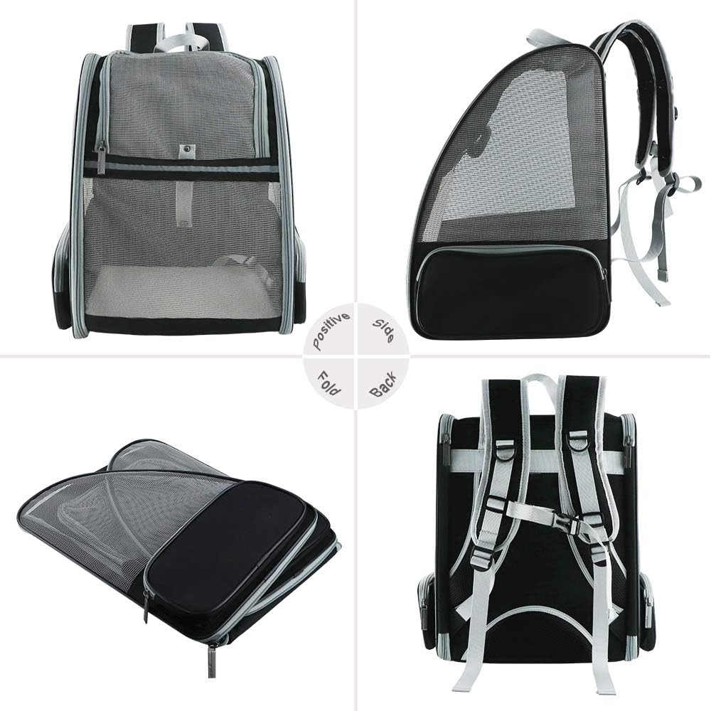 Backpack Carrier Cat - Image 3