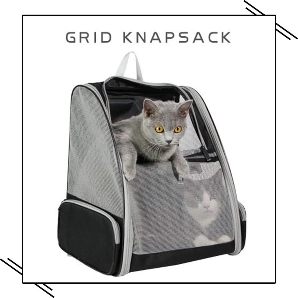Backpack Carrier Cat - Image 4