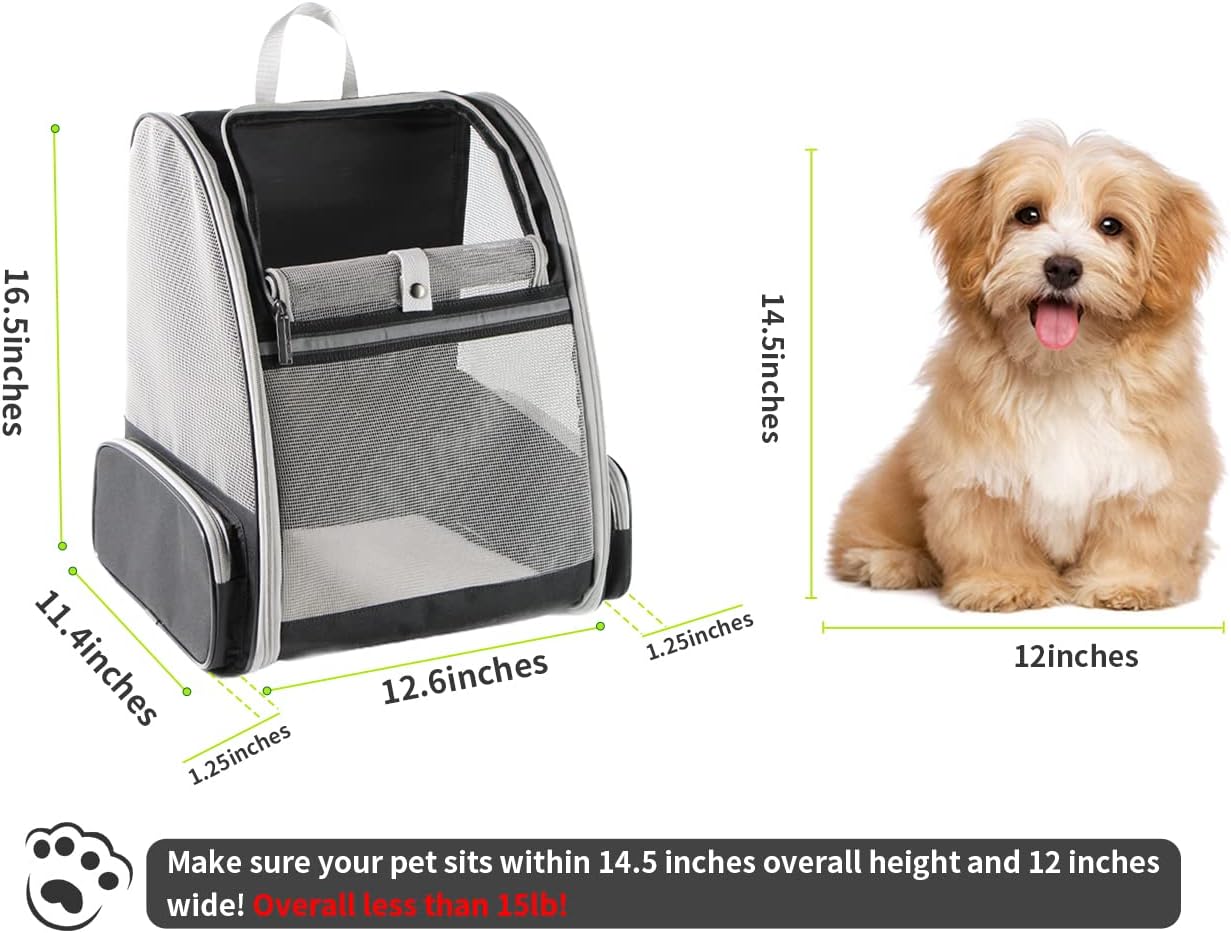 Backpack Carrier Cat - Image 5