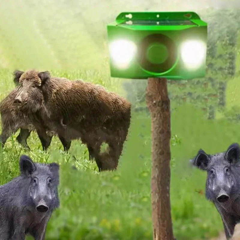 Beast Repellent Solar Warning Lights - Image 6