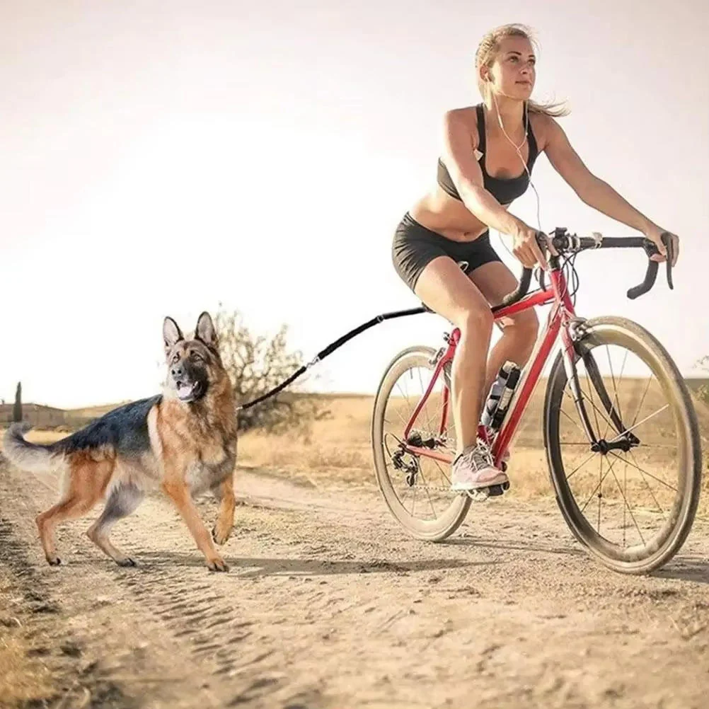 Bike Dog Tow Leash - Image 2
