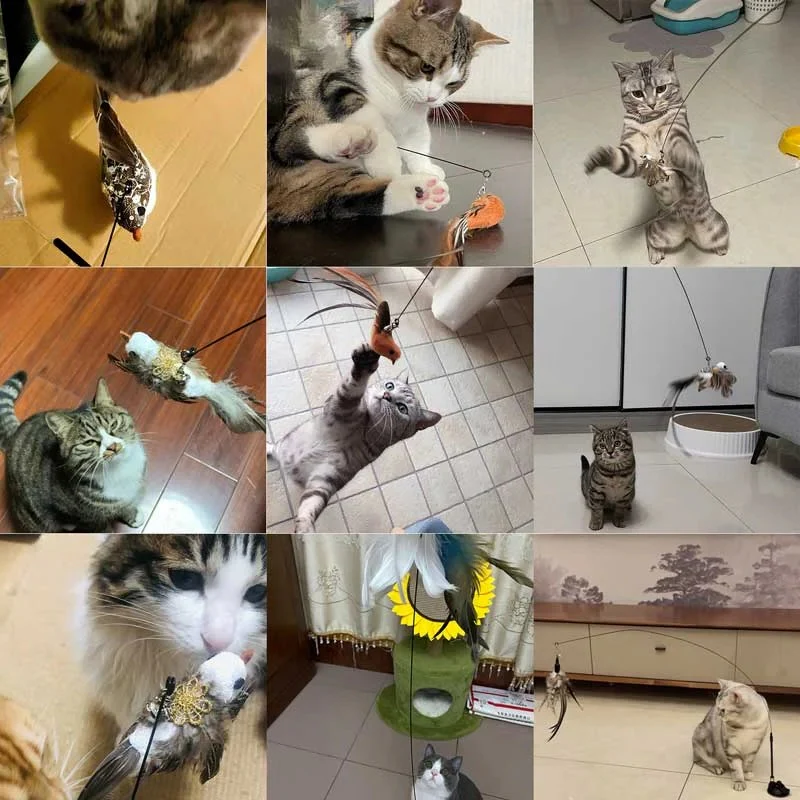 Bird Simulation Toy Set for Cats - Image 9