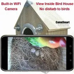 Bird Watching Nesting Feeder Nest Cam Box with Camera - Image 6