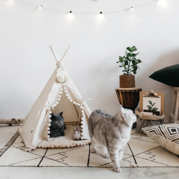 Bohemian Pet TeePee - Image 2