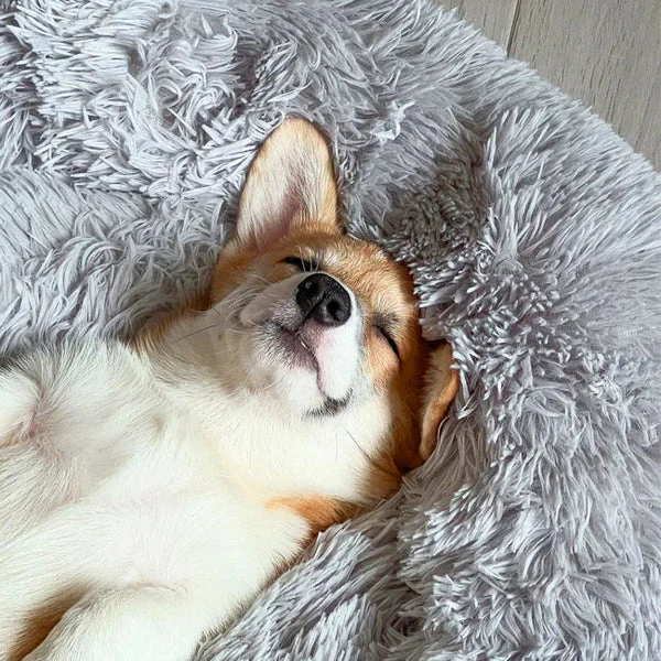 Calming Dog Bed - Image 2