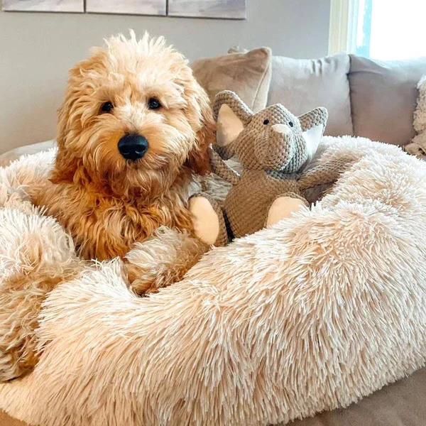 Calming Dog Bed - Image 3