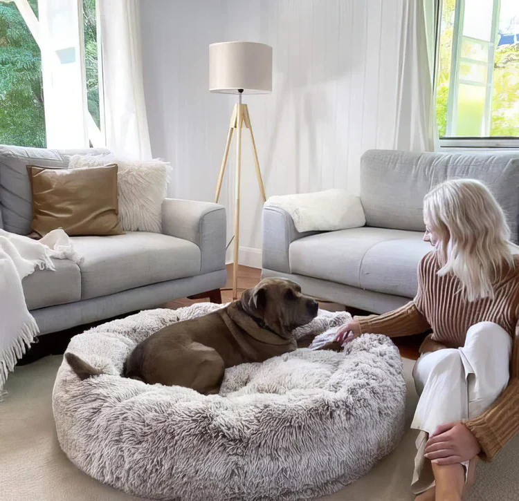 Calming Dog Bed - Image 5