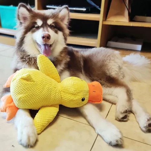 Calming Duck Dog Toy - Image 4