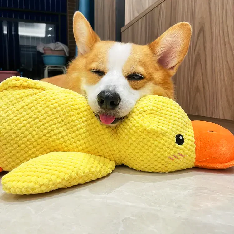 Calming Durable Duck - Image 4