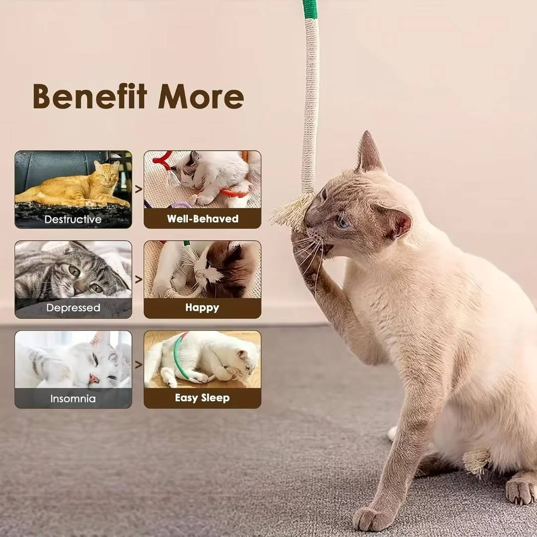 Cat Chew Toys - Image 3