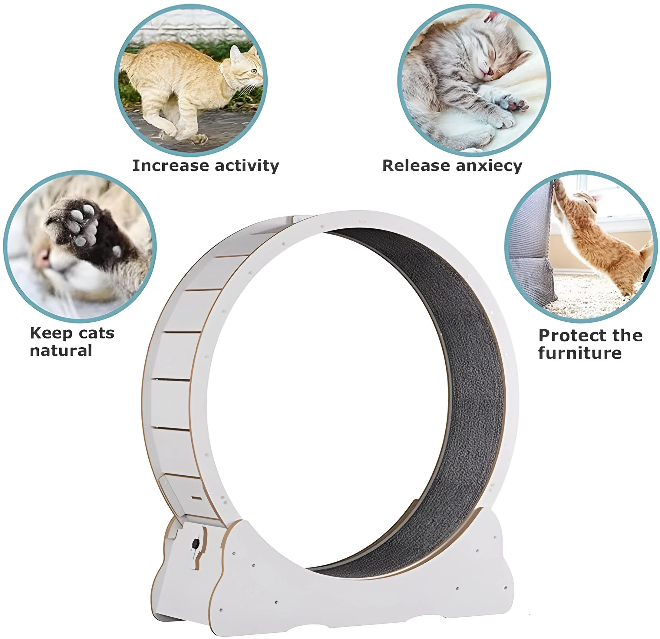 Cat Exercise Wheel - Image 2