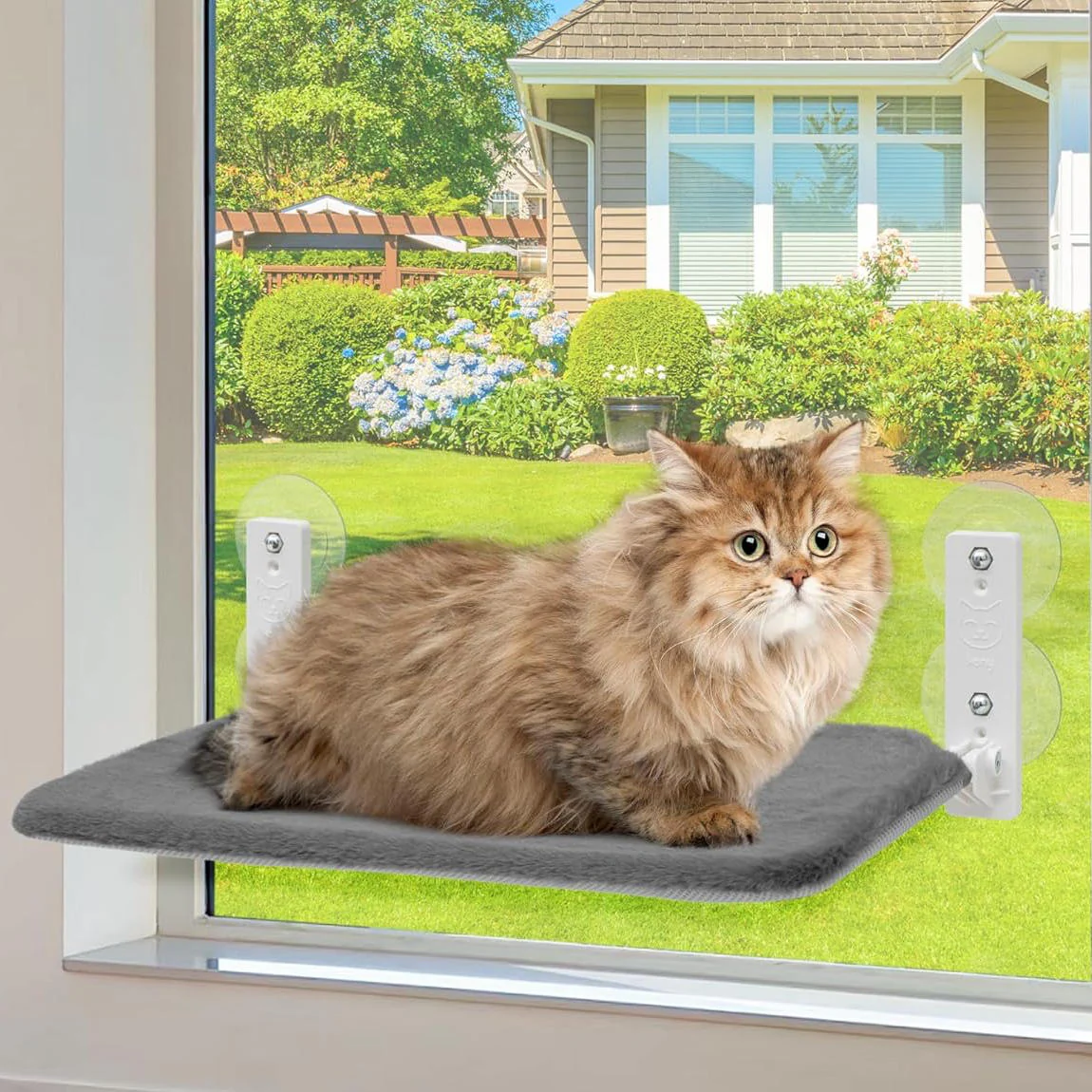 Cat Hammock Window - Image 11