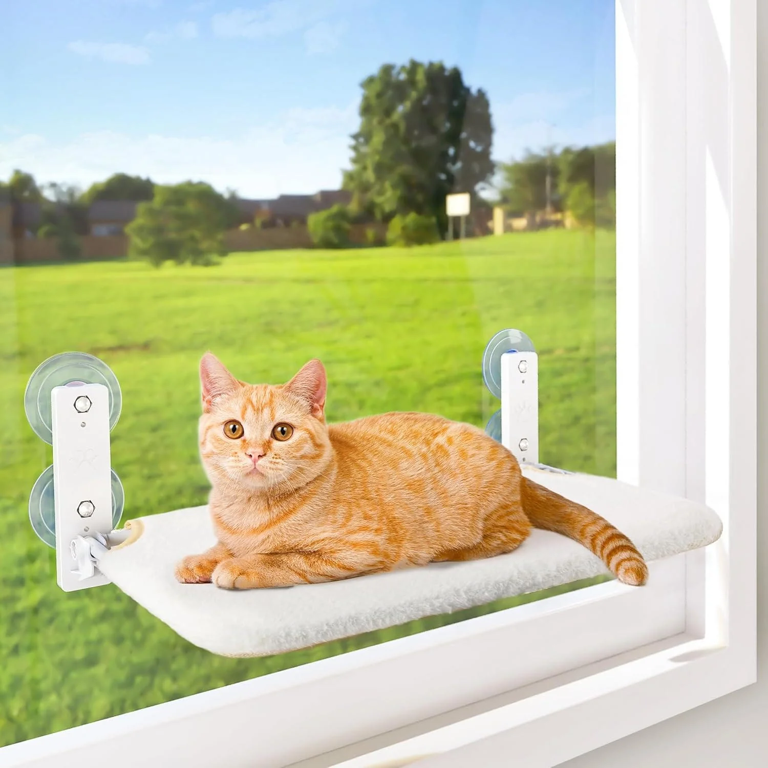 Cat Hammock Window - Image 12