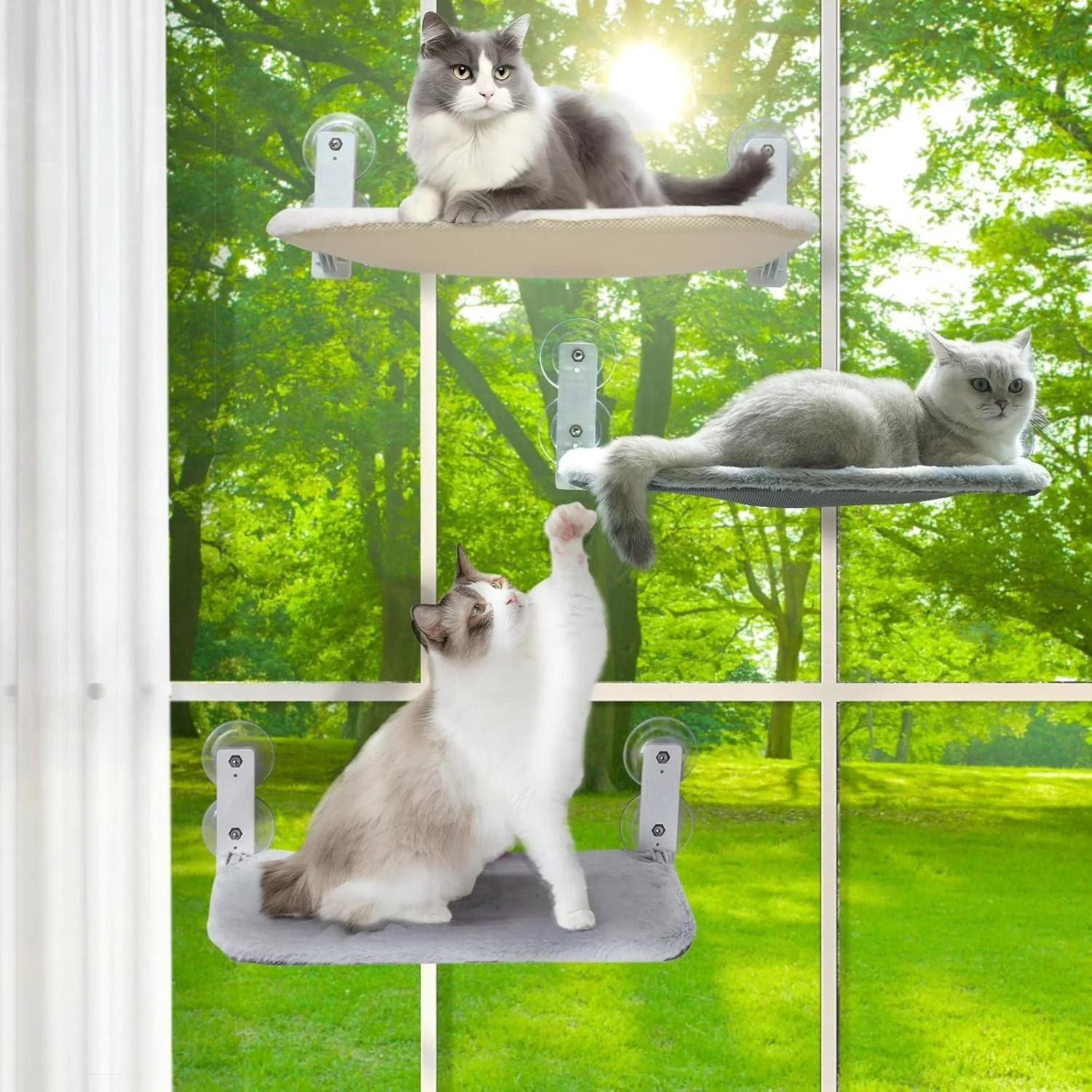 Cat Hammock Window - Image 3