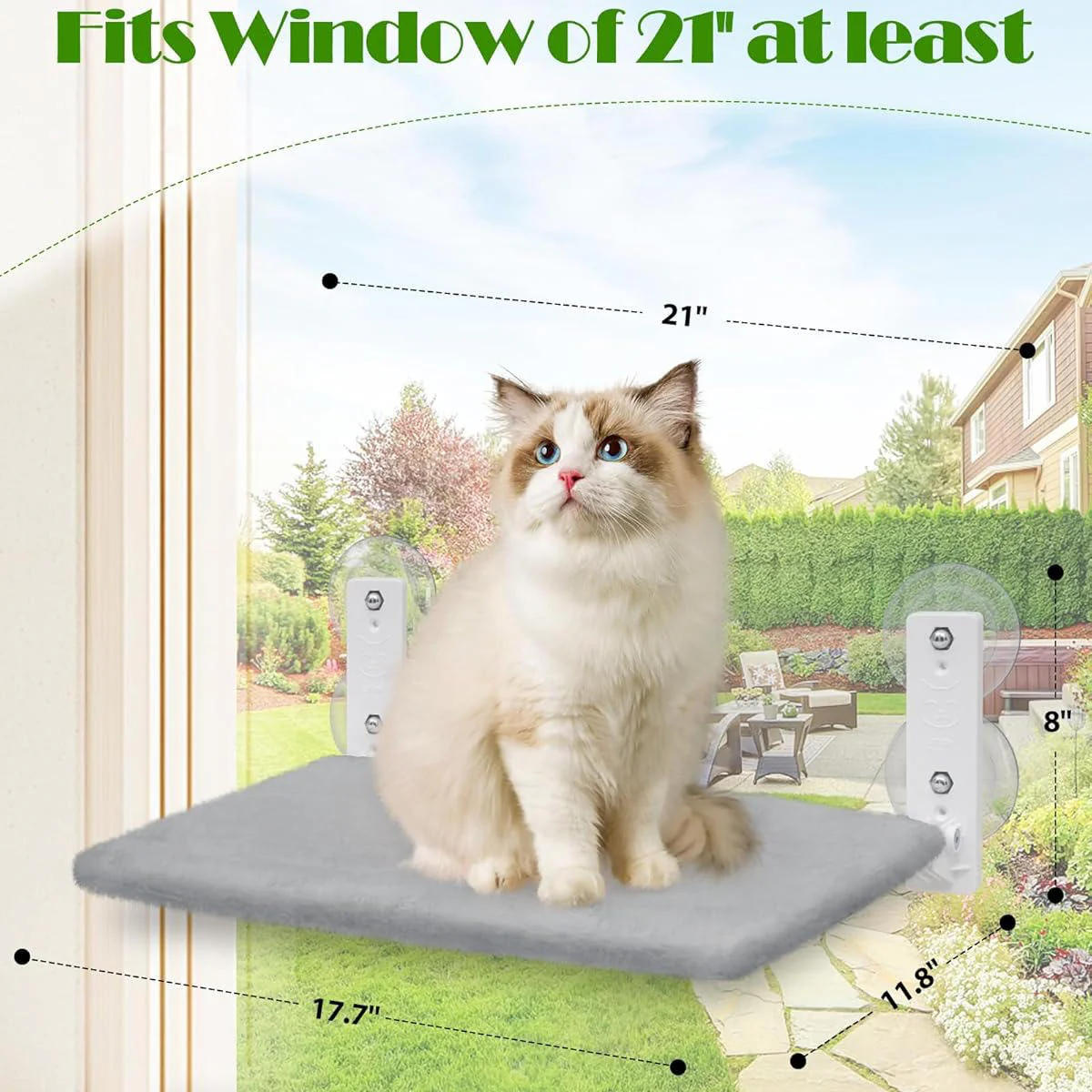 Cat Hammock Window - Image 8