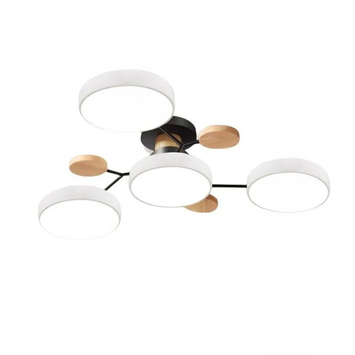 Ceiling Light - Branching Design, Stylish & Sustainable with LED Technology - Image 4