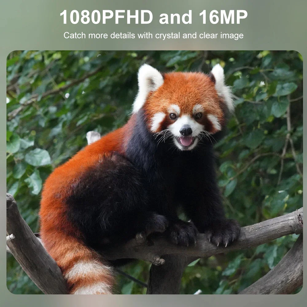 Compact Wildlife Camera with HD Infrared Night Vision - Image 2