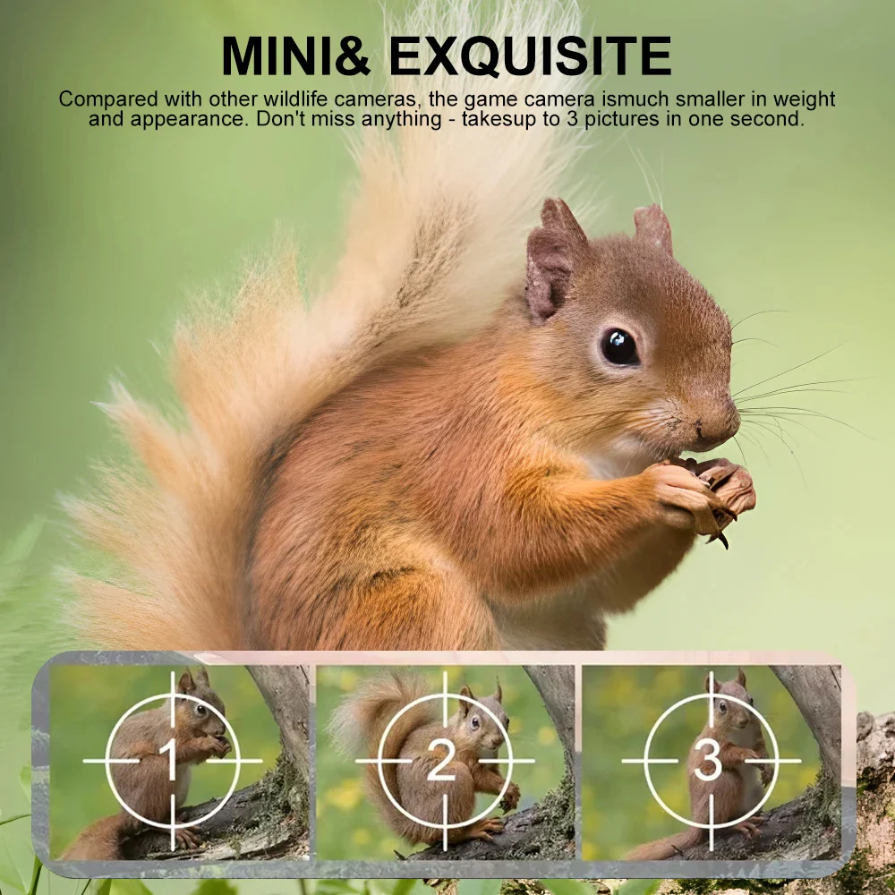 Compact Wildlife Camera with HD Infrared Night Vision - Image 3