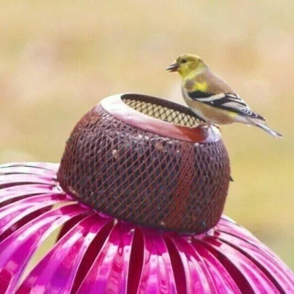 Coneflower Bird Feeder - Image 6