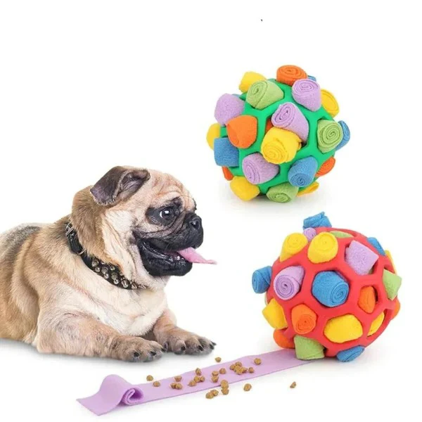 Dog Chew Toy - Image 4