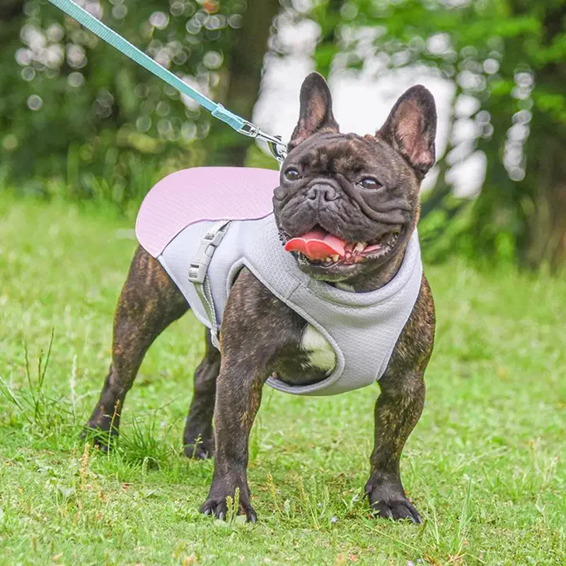 Dog Cooling Vest for Outdoor Activities - Image 3