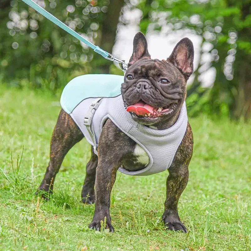 Dog Cooling Vest for Outdoor Activities - Image 4