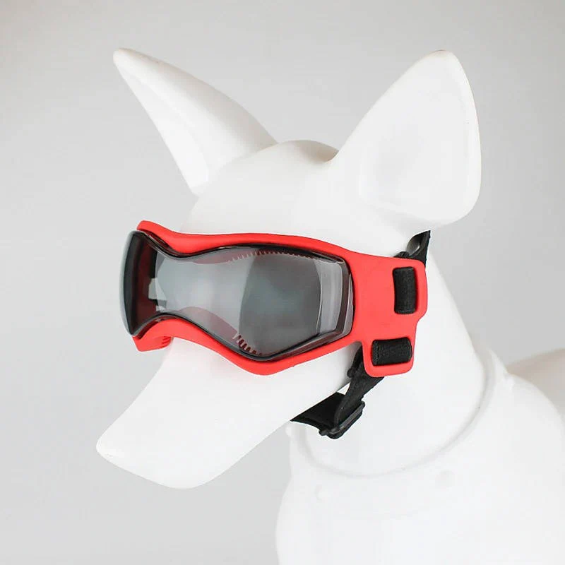 Dog Goggles - Image 10