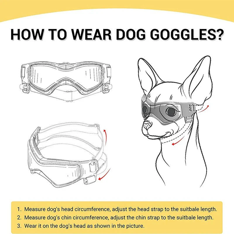 Dog Goggles - Image 5
