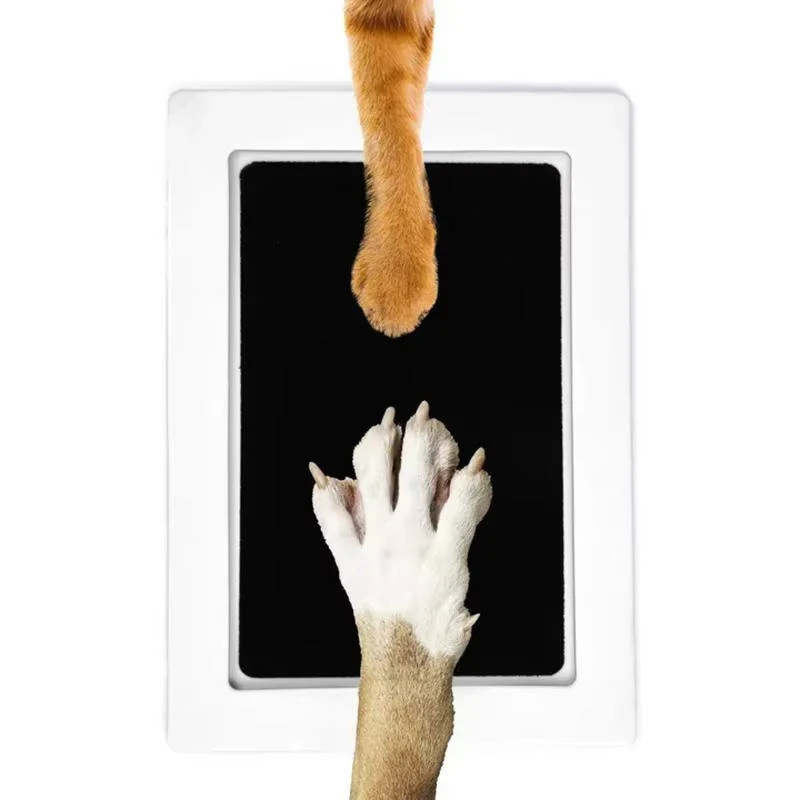 Dog Paw Print Kit - Image 2